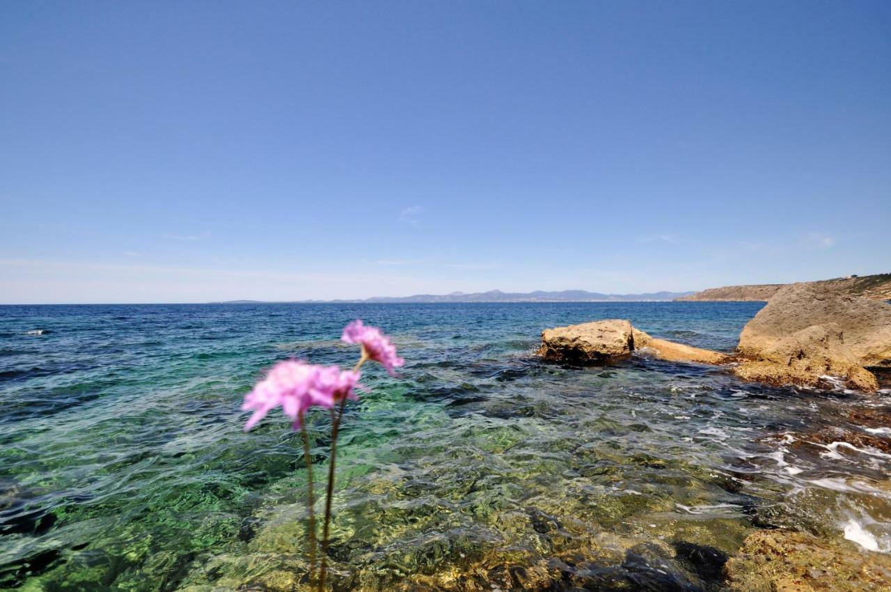 Villa Hugo- Badia Gran- Llucmajor- Mallorca Εξωτερικό φωτογραφία